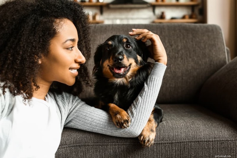 TPLO Surgery for Dogs: Cost Breakdown, Procedure Details, and Recovery Expectations