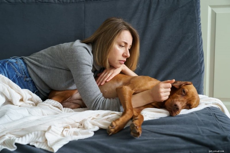 Bone Cancer in Dogs: Symptoms, Causes, and Treatment Options