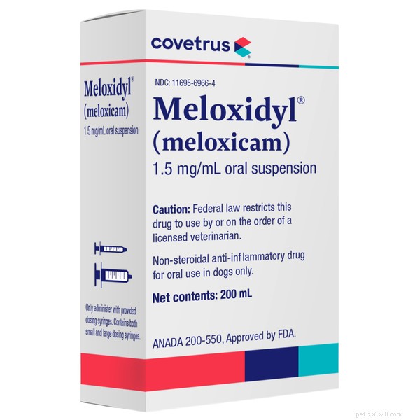 Effective Dog Pain Relief: Proven Medications & Care Tips