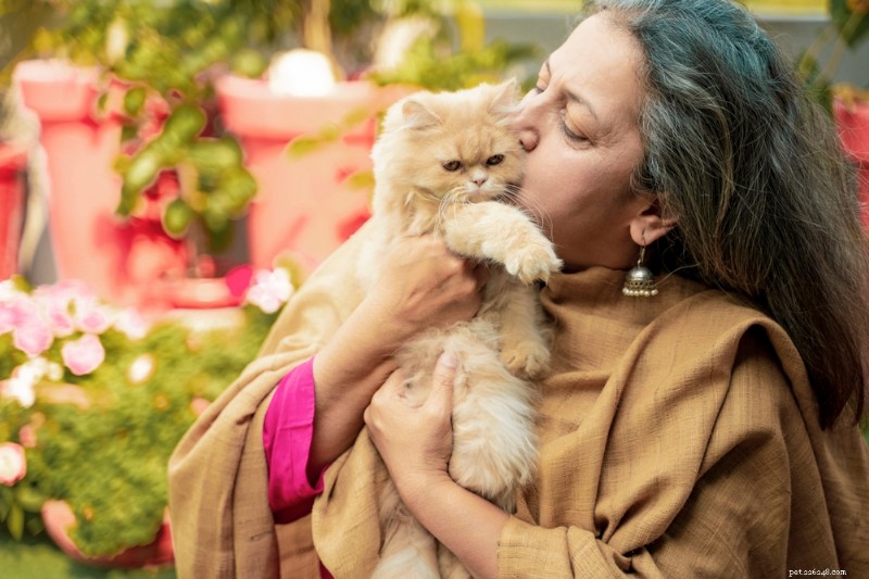 8 Clear Signs Your Cat May Be Approaching the End of Life