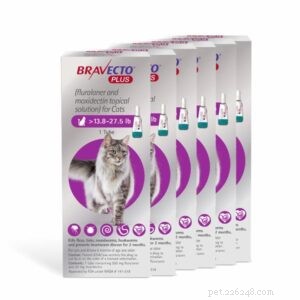 What to Do When Your Cat Vomits Worms: Quick, Safe Solutions