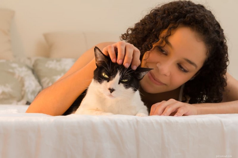 Cat Diabetes Management Plan: Step‑by‑Step Treatment & Home Care