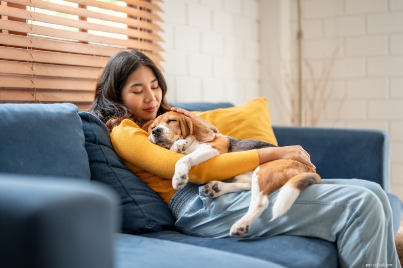 Why Does Your Dog Sit on You? Uncovering Comfort, Bonding, and Health Reasons