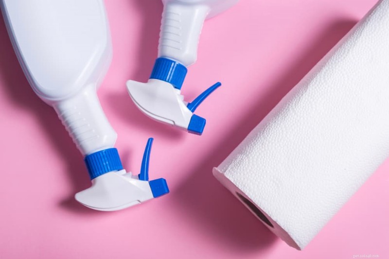 How to Stop Your Cat from Pooping Outside the Litter Box: 8 Proven Solutions