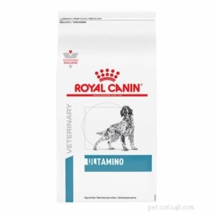Identifying and Managing Food Allergies in Dogs: Symptoms & Effective Treatments