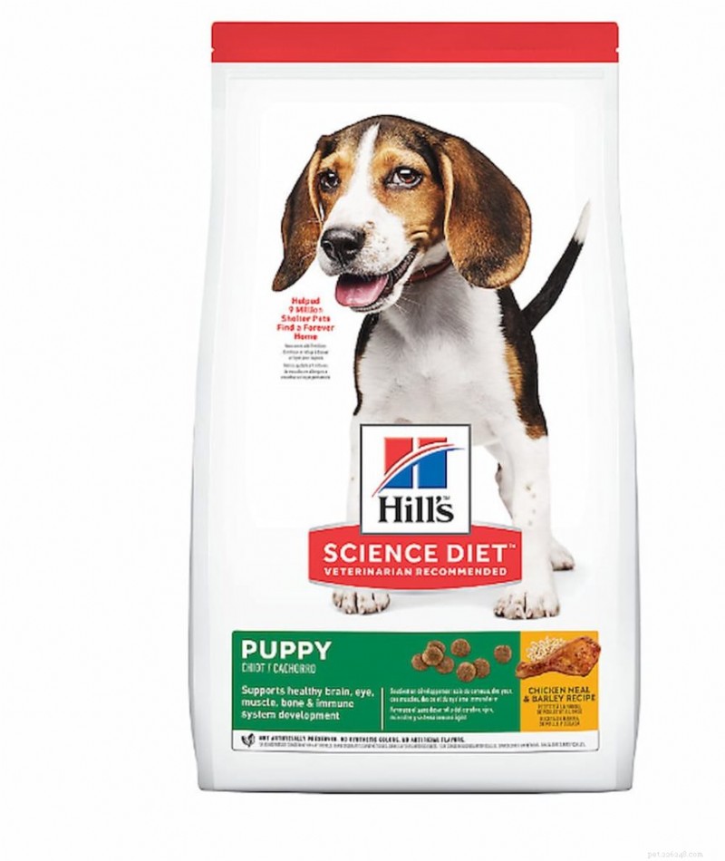 Hill’s Science Diet Dry Dog Food Review: Find the Right Formula for Your Dog s Health