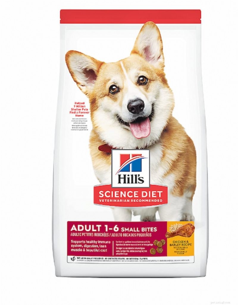 Hill’s Science Diet Dry Dog Food Review: Find the Right Formula for Your Dog s Health