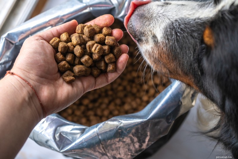 Probiotic-Enriched Dog Food: Boosting Gut Health & Wellness