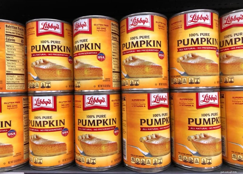 Canned Pumpkin for Dogs: 9 Expert-Approved Uses & Benefits