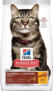 How a Cat’s Digestive System Works: Key Insights for Pet Owners
