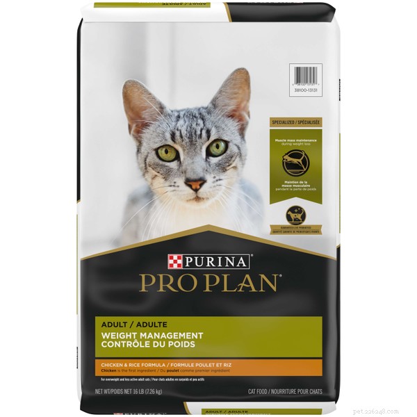 Top 10 Vet‑Approved Cat Foods for Weight Management