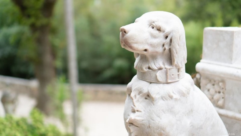 115+ Timeless Latin Dog Names for Your Sophisticated Pup
