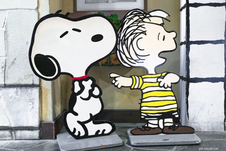 117 Iconic Cartoon Dog Names to Inspire Your Pet