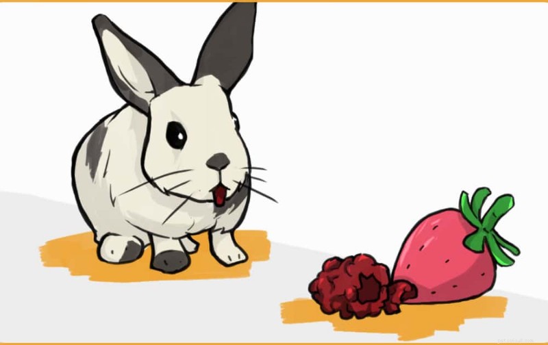 15 Proven Strategies to Build Trust with a Shy Pet Rabbit