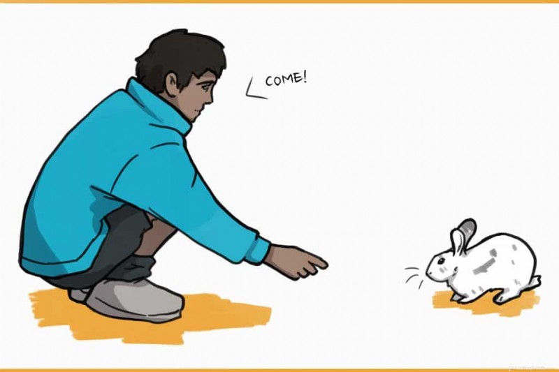 Does Your Pet Rabbit Really Know Its Name? Find Out!