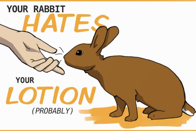 How Strong‑Scented Lotion Can Unsettle Your Rabbit: A Practical Guide