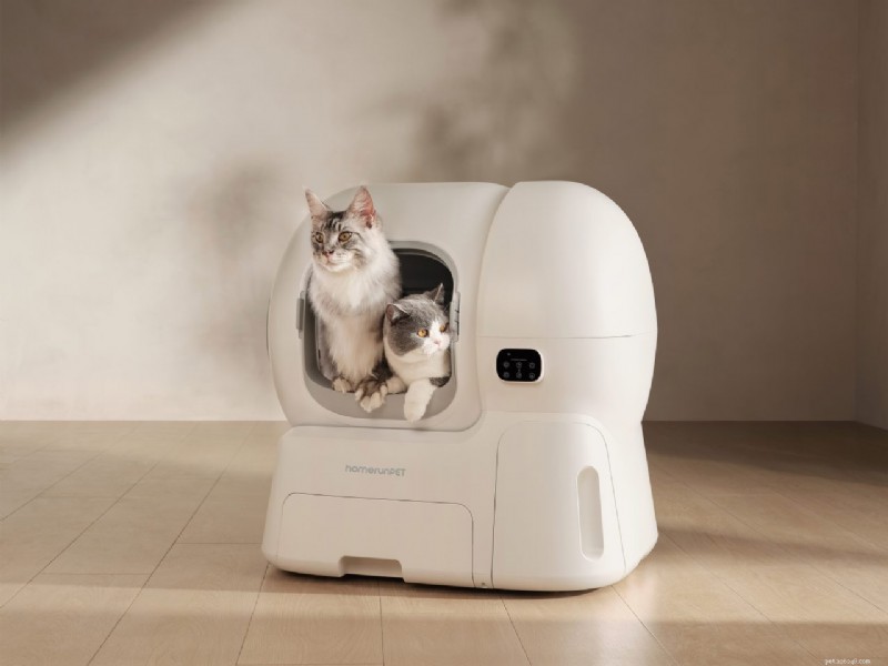 homerunPET CS106 – The 12L Self‑Cleaning Litter Box for Multi‑Cat Homes