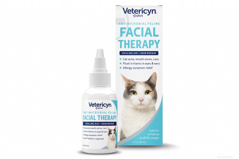Top Essential Wellness Products for a Healthy Cat