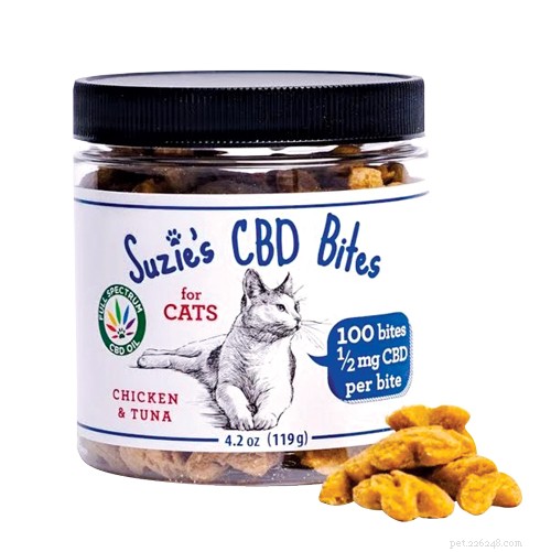 Healthy Paws: Expert‑Chosen Wellness Products to Keep Your Cat Vibrant