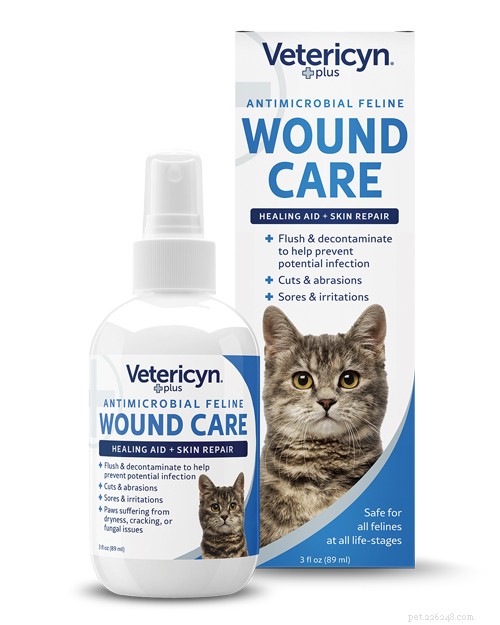 Healthy Paws: Expert‑Chosen Wellness Products to Keep Your Cat Vibrant