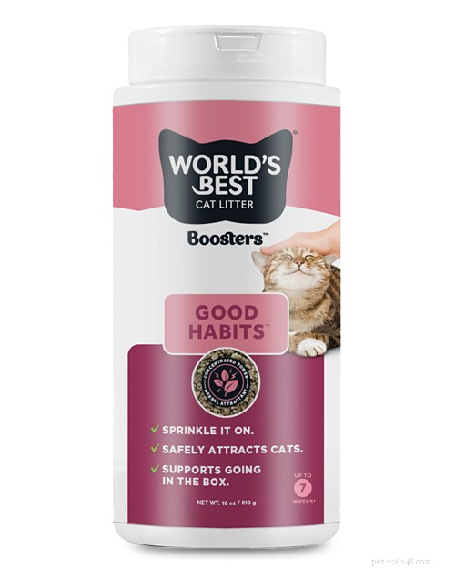 Healthy Paws: Expert‑Chosen Wellness Products to Keep Your Cat Vibrant