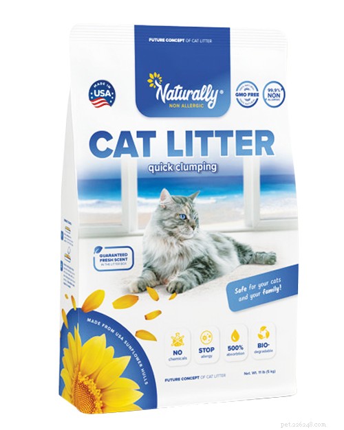 Healthy Paws: Expert‑Chosen Wellness Products to Keep Your Cat Vibrant