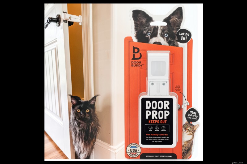 Top 2025 Cat Gift Guide: Litter Essentials & More