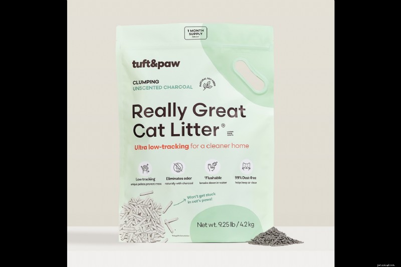 Top 2025 Cat Gift Guide: Litter Essentials & More
