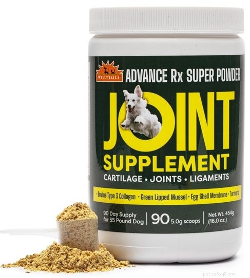 Top Vet‑Recommended Dog Supplements 2026: Boost Joints, Vision & Longevity