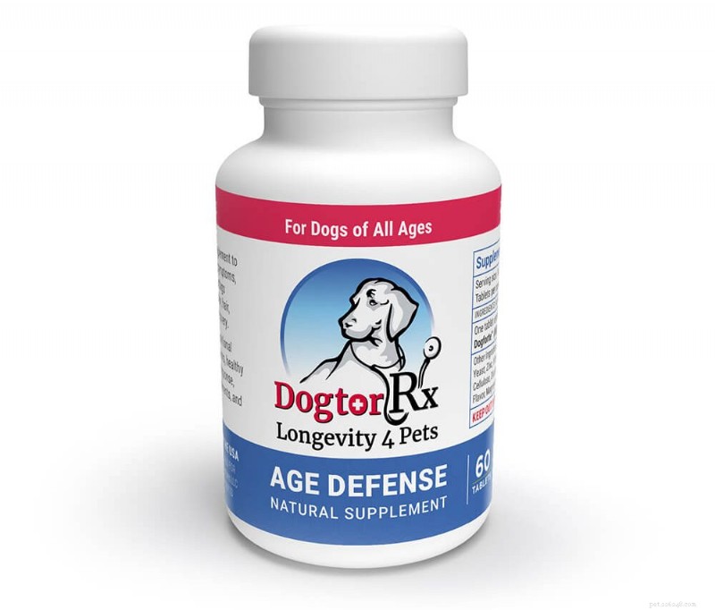 Top Vet‑Recommended Dog Supplements 2026: Boost Joints, Vision & Longevity