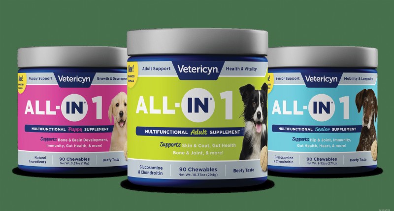 Top Vet‑Recommended Dog Supplements 2026: Boost Joints, Vision & Longevity
