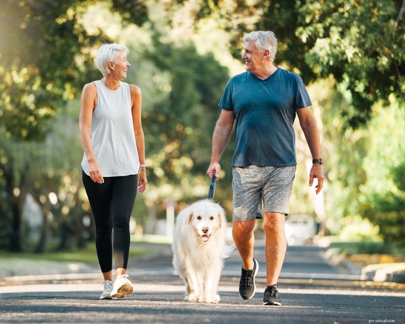 How Owning a Dog Boosts Physical and Mental Health: The Science Behind Longevity