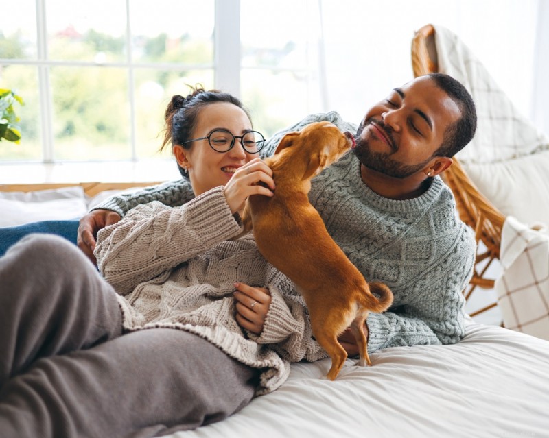 How Owning a Dog Boosts Physical and Mental Health: The Science Behind Longevity