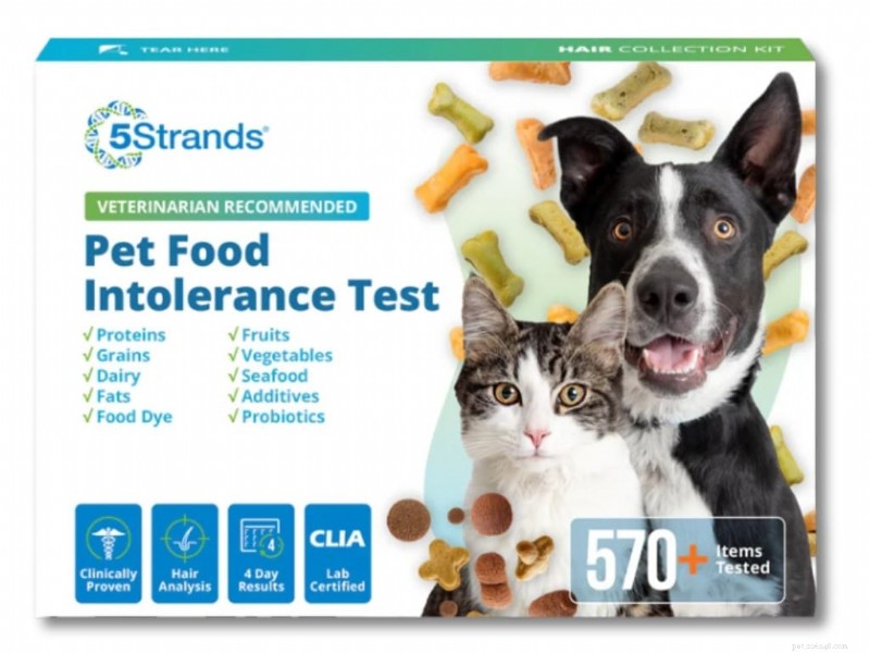 Essential Wellness Products for Dogs: Keep Your Companion Healthy and Happy