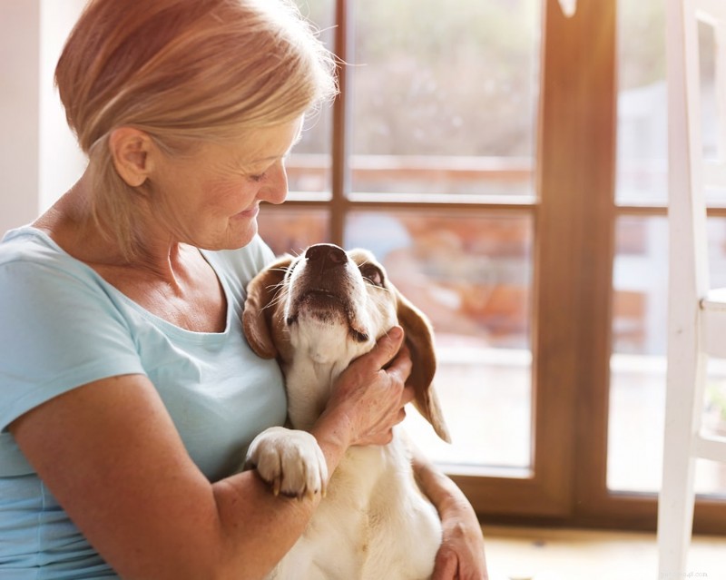 Managing Canine Osteoarthritis: Signs, Causes & Effective Care Strategies