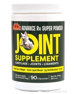 Managing Canine Osteoarthritis: Signs, Causes & Effective Care Strategies