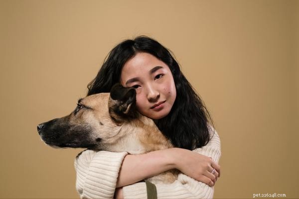 Recovering a Traumatized Dog: Essential Steps After an Attack
