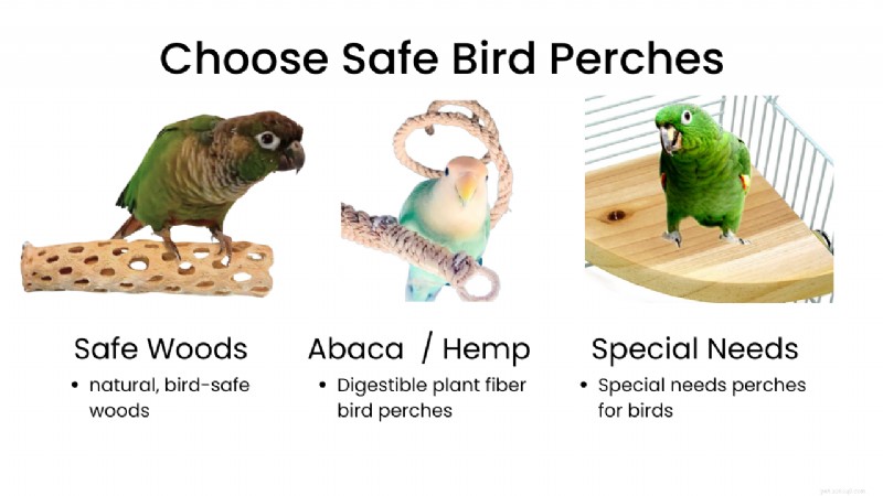 Expert Guide to Parrot Perch Selection & Care for Happy, Healthy Feet