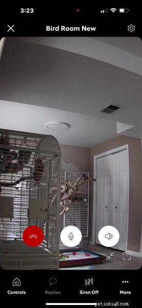 Back‑to‑School Routine Shocks Your Bird: Simple Ways to Keep Them Calm