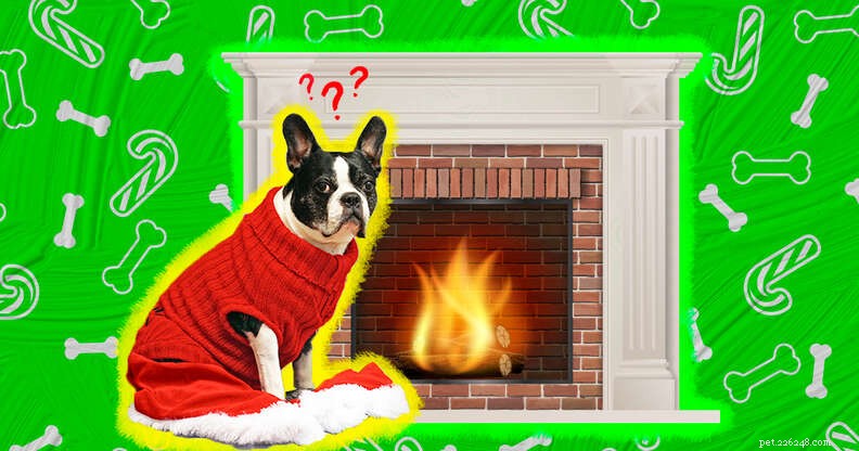 Holiday Pet Safety: Keep Your Furry Friend Safe This Season