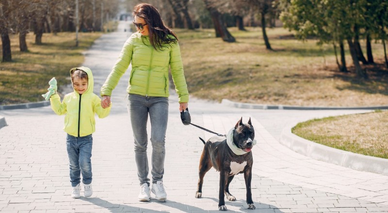 Spring Dog Walking Guide: Leash Laws, Park Etiquette & Outdoor Safety