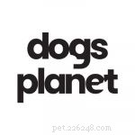 Managing Spring Allergies in Dogs: Expert Guide to Relief & Prevention