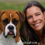 Why Do Dogs Fear Vacuums? Causes, Symptoms & Solutions