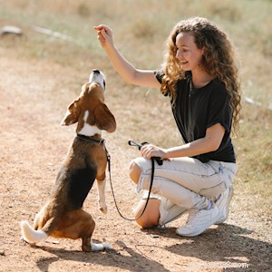 Avoid Mislabeling Your Dog: Why Labels Hurt More Than Help