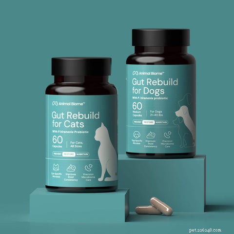 Peptacetobacter hiranonis: The Cutting-Edge Probiotic Revolutionizing Pet Gut Health