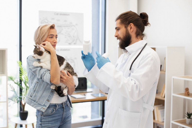Feline Halitosis Explained: Causes, Diagnosis, and Effective Treatments for Your Cat