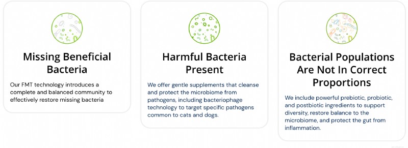 4 Natural Ways to Restore Your Dog s Gut Health