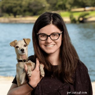 Support Your Pet’s Gut Health During and After Antibiotics: Expert Tips