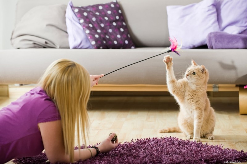 Safe Play: 5 Proven Tips to Prevent Pet Bites Around Kids