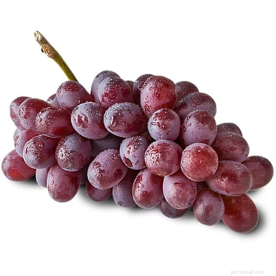 Grapes, Raisins & Currants: A Dangerous Threat to Dogs – Essential Safety Guide